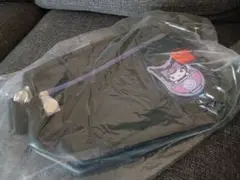 Item thumbnail for item 463a5415-ab26-4578-946c-ed1d8f932daf