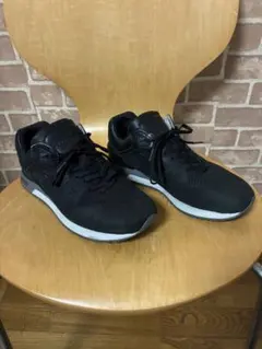 New Balance ML2017 26センチお値下げ！のサムネイル