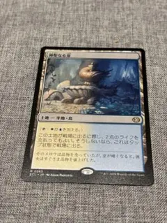 2026年最新】神聖なる泉の人気アイテム - メルカリ