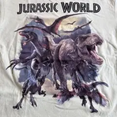 ジュラシック・ワールド Tシャツ H&M US 5T/6