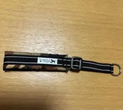 Item thumbnail for item aa8e85a9-7a18-4f7d-92cc-137e1262f61e