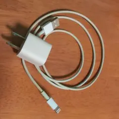 Apple純正 LightningケーブルとACアダプタのセット