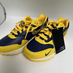 25cm カレッジシリーズ　国内正規品 AIR MAX1 PREMIUM