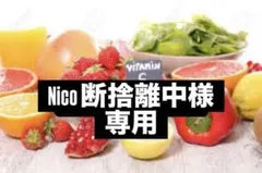 Nico断捨離中様専用