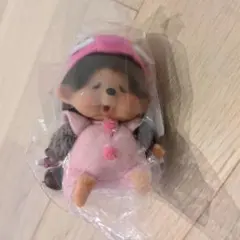K*o様 Post Petモモコラボ モンチッチ キーホルダー - メルカリ