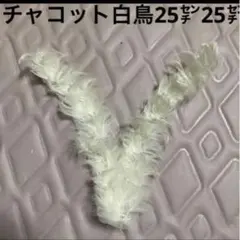 チャコット白鳥胸飾りスカート飾り25㌢25㌢長さのサムネイル