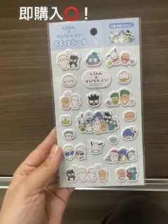【新品未開封品】しろたん はぴだんぶい ぷくっとシール サンリオ ハンギョドン