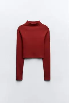 ZARA ロングラグランスリーブトッ プス　ハイネッククロップドトップス 長袖のサムネイル