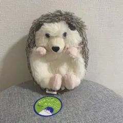 Item thumbnail for item cb1b815d-8235-495c-b5ba-980b4a148e70