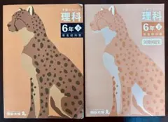 四谷大塚 予習シリーズ 理科 6年下 有名校対策テキスト&別冊例題集