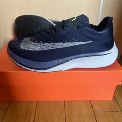 Item thumbnail for item 97301e98-d1b4-46d0-aaaa-b28adbd7ca68