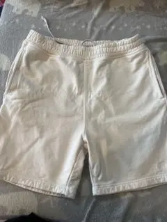 STÜSSY スウェットショーツ Mのサムネイル