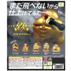 GOLDENムキムキーウィ　キウけい プロテイン 補給イ 2つ セット