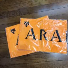 読売ジャイアンツ タオル 2枚セット