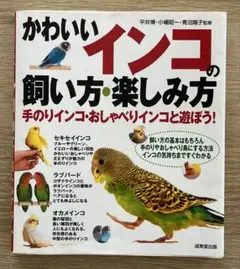かわいいインコの飼い方・楽しみ方