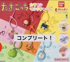 たまごっち カラフルマルチチャーム ガチャ コンプリート 全6種