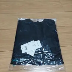 Item thumbnail for item a5eb2e6a-4453-40c4-a232-e9caa75ec0e6