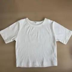 WEGO リブ編み ホワイト Tシャツ M