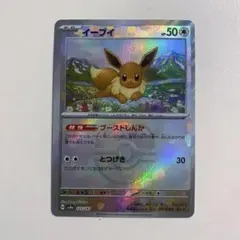 2025年最新】マスターボール イーブイの人気アイテム - メルカリ