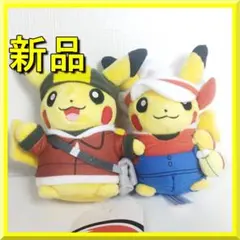 ピカチュウ 25周年 ホウエン地方 ぬいぐるみ フィギュア アメリカ限
