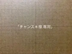 ☆チャンス＊様 専用☆こびとづかん めじるしマスコット