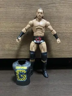 プロレス スポーツ