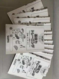2023年 小学5年 基礎力トレーニング SAPIX サピックス　算数 12冊