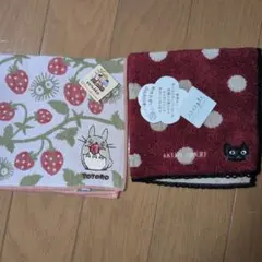 Item thumbnail for item c219497b-8569-49c6-9e61-da86fb89af20