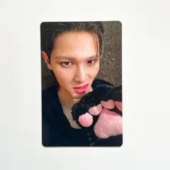 AMPERS&ONE マカヤ MUSICART トレカ 猫 ネコ耳