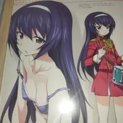 ガールズ＆パンツァー 　冷泉麻子　額装　B5サイズ