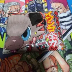ポケモンサン・ムーン イワンコ全力デッキ 月刊コロコロコミック2017年