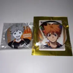 ハイキュー！！ 日向翔陽 缶バッチ