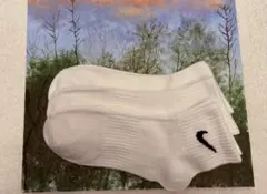 Item thumbnail for item 11053264-12fc-4f06-b79d-1aff437e33d1