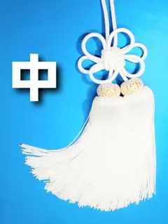 Item thumbnail for item e4a307ae-43d3-4fda-9f12-dcd333345722