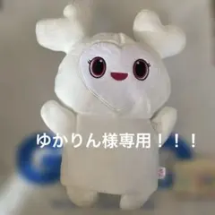 ゆかりん様専用TWICE ダブリー　パペットぬいぐるみ