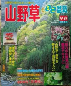 Item thumbnail for item cf6e4d07-81f8-4fc9-8ebd-7afdd135e9a9