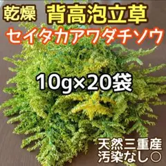 希少】セイタカアワダチソウの越冬完熟クリーム蜂蜜1,000g 1本 - メルカリ
