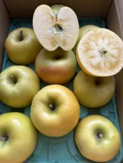 専用出品　まいめろ様　こうこう5k箱