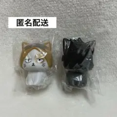 ハイキュー!! アニマルミニソフビ クロオネコ ケンマネコ