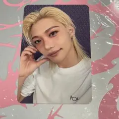 straykids do it 封入 トレカ フィリックス アコーディオン