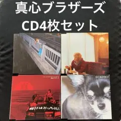 2025年最新】真心ブラザーズ vibeの人気アイテム - メルカリ