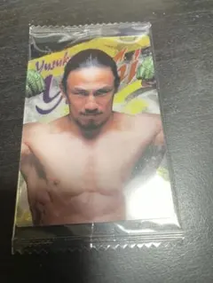 RIZINウエハース　矢地祐介