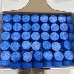 Item thumbnail for item 415e87af-f71c-4311-9053-a81d1f1a3d47