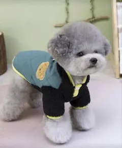 Item thumbnail for item 6fd4d74d-9922-4fb0-a250-272d04892cfa