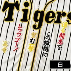 Item thumbnail for item 1c805ea6-d8b5-42a2-ada6-3761444c8a09