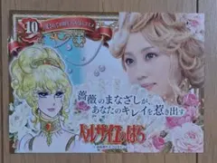 マリー・アントワネット('06米/仏/日)DVD - メルカリ