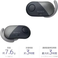 【美品】SONY ワイヤレスイヤホン WF-SP700N 充電ケース付 ブラック