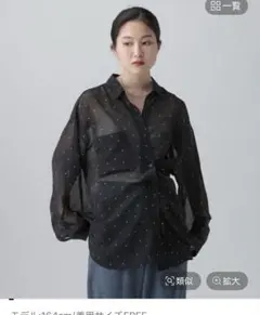 LEPSIM 2WAY柄シアー長袖シャツのサムネイル