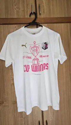 Item thumbnail for item 98afabc4-c368-4482-afe3-6b080b577d44