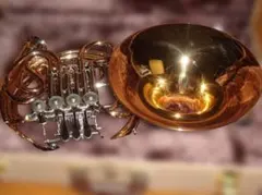 中古　ヤマハ　フルダブルホルン　YHR567GDB　ケース付きのサムネイル